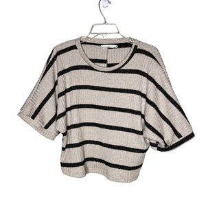 Lush Metallic Striped Crew Neck Sweater